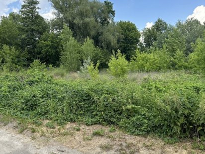 Земельна ділянка під забудова в Бортничах Київ