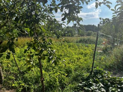 Продам великий  участок в Соколовському дачному масиві Житомир