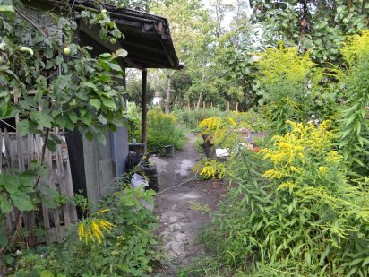 Продаж ділянки 6 сот, вул. Газопровідна 5,Нивки,Берківці. Киев