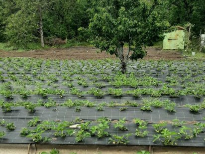 Продам участок 6 соток с железным домиком на острове Хортица