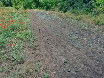 Продам дачу участок огород в черте города Запорожье