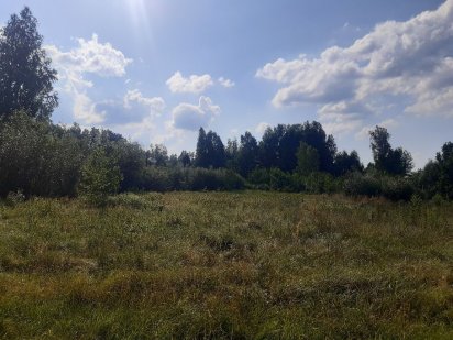 Продам земельну ділянку Пряжів 30 соток під житлову забудову Житомир