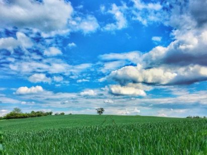 Участок под Ваш дом на Солнечном