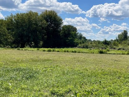 Земельна ділянка від власника (10-30 сот), нижні Бортничі Київ