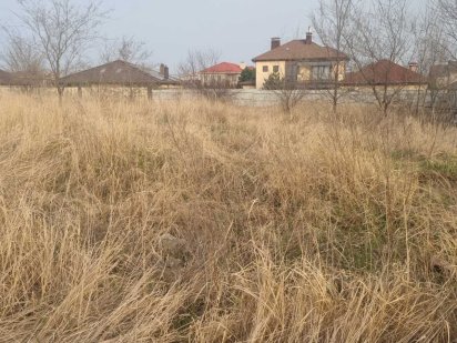 Ділянка 12сот, поряд Бородинський мкр., Форум