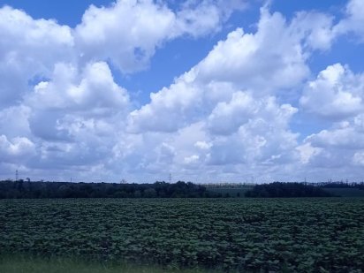 Земля(земельный пай)