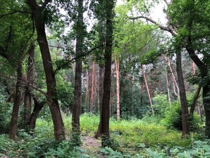 Продам земельну ділянку біля лісу та озера на Лелеківці.