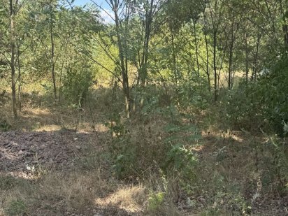 Ділянка 10 сот. Соколівка. «Царське село» Кропивницкий