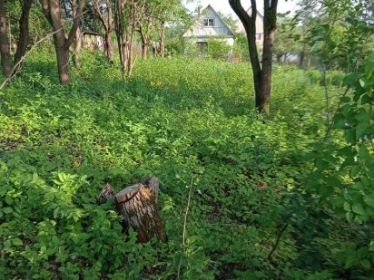 Продам ділянку вісім сот.Соколовський масив Житомир