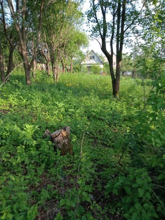 Продам ділянку вісім сот.Соколовський масив - фото 1