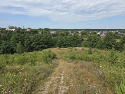 Дуже крута ділянка на Богунії 64 сотки (26142821) Житомир