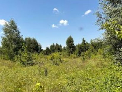 Продам земельну ділянку Житомир