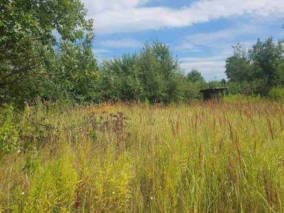 Продам ділянку на Крошні, Заозерний/Наливайка (261128006) Житомир