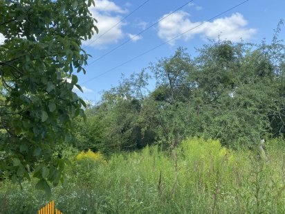 Продаж земельної ділянки поблизу вул. Пилипа Орлика. Львів