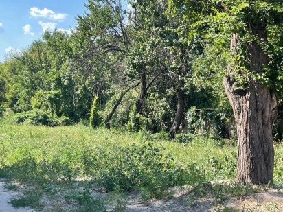 Ділянка під забудову Караваєві Дачі Киев