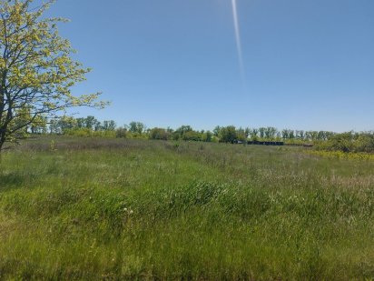 Зем. ділянка, Велика Северинка, 45 сот.!!