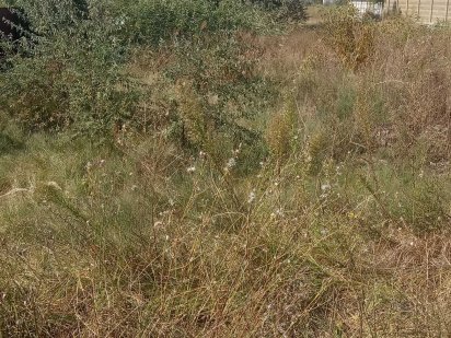 Продам участок на Красносельской Дніпро