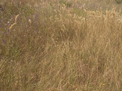 Земельный участок пос. Слобожанский ( Юбилейный) Дніпро