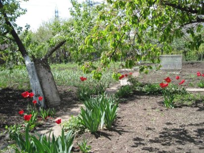 7Продам Дачный Участок 6.5 Соток Земли .Без Домика Есть Вагончик.Вода