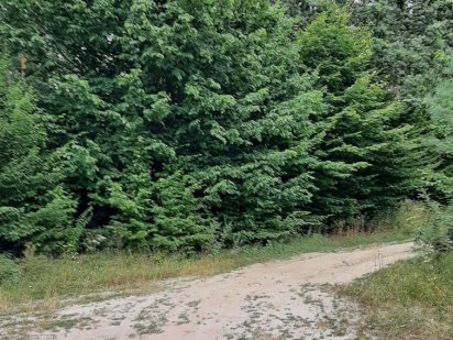 Продам земельну ділянку  в місті Житомир