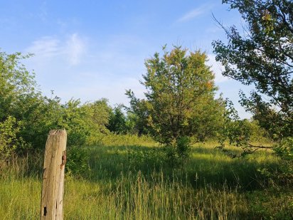 Дачна ділянка геолог Кропивницький