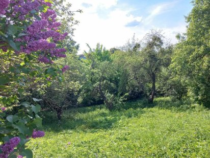 Ділянка з видом на ліс у межах міста за вигідною ціною! Львів