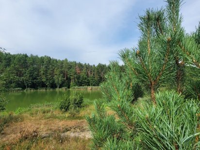 Ділянка в м. Житомирі Житомир