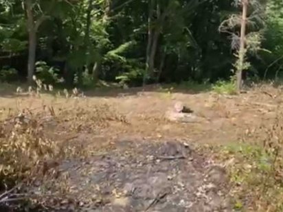 Продаж земельної ділянки урочище Голоско Львів