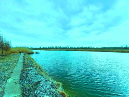 Продам участок 40 соток, озеро Шпакове, Обухівський ліс, у місті Дніпро