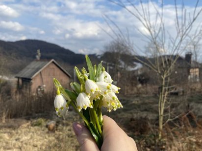 Продаж земельної ділянки поруч Емелі Резорт