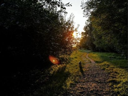 Продаж земельної ділянки , землі Львів , вул Чигиринська