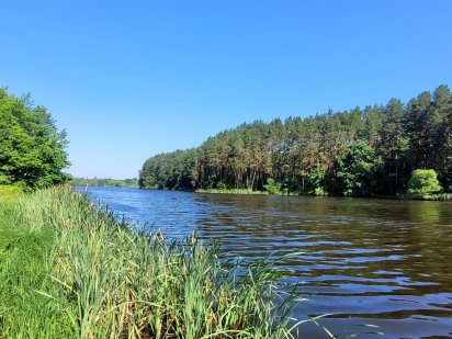 Продам дамбу з правом  оренди на  ставок Житомир