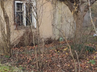 Дачна ділянка в межах Львова Львів