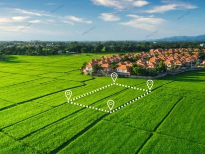 земельна ділянка 24 сот. Кущівка Катранівка Кропивницький