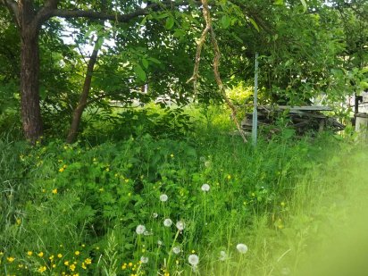 Ділянка у Львові, 300 м від переїзду. Клепарів Львів