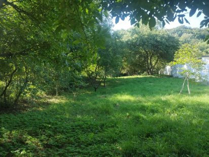 Земельна ділянка 12 сот, Львів, вул. Петрицького (Шевченківський р-н) Львов