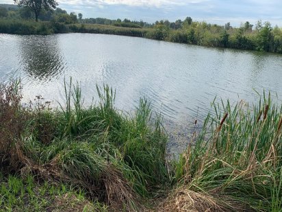 Хозяин. Продам участок возле воды Бортничи. Киев