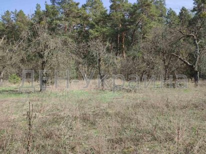 Без %.Продам ділянку у Бортничах, вул. Лісова 10 сот.- 49500 у.е. Киев