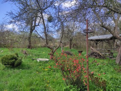 Земельна ділянка(дача) в межах Львова Львов
