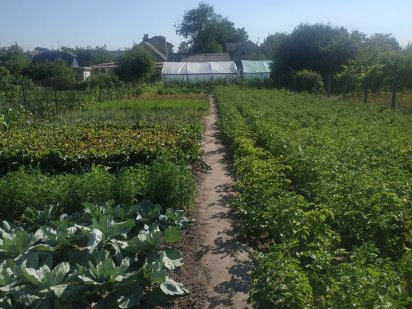 Продам земельну ділянку в Жулянах Киев