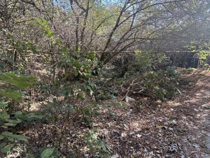 Дуже гаряче! Ділянка 7,5 соток в 300 метрах від моря! Одесса