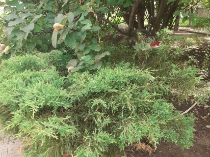 Земельна ділянка/кінцева 220 маршрутки Одеса