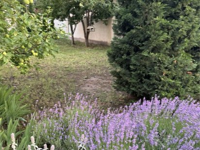 Продам участок в Совиньоне Одесса