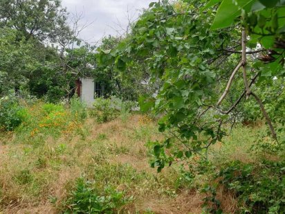 продаю  дачу  в   Ракетной  Роще Миколаїв