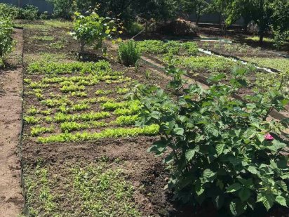 Дайберг, земельна ділянка Одесса