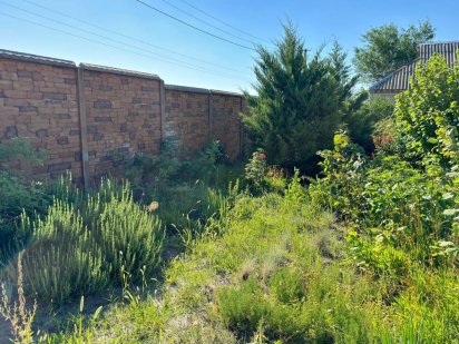 Ділянка з садом Миколаїв