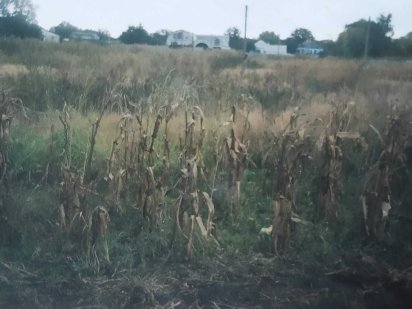 Земляна ділянка 9 соток під житлову забудівлю Дніпро