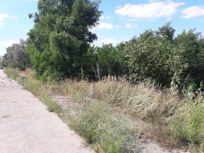 Земельна ділянка Дніпро