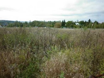 Ділянка 48 соток Київ Осокорки метро Славутич 12 км продаж господар Київ