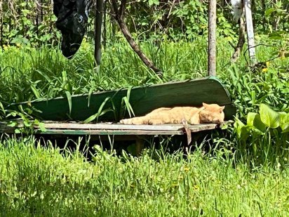 Продам дачу на берегу Самары Днепр